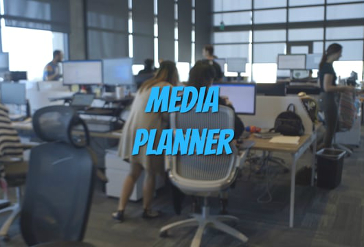 Media Planner Dentsu Aegis Network