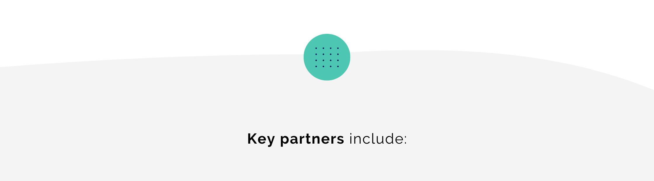 CCO Implementation Partners