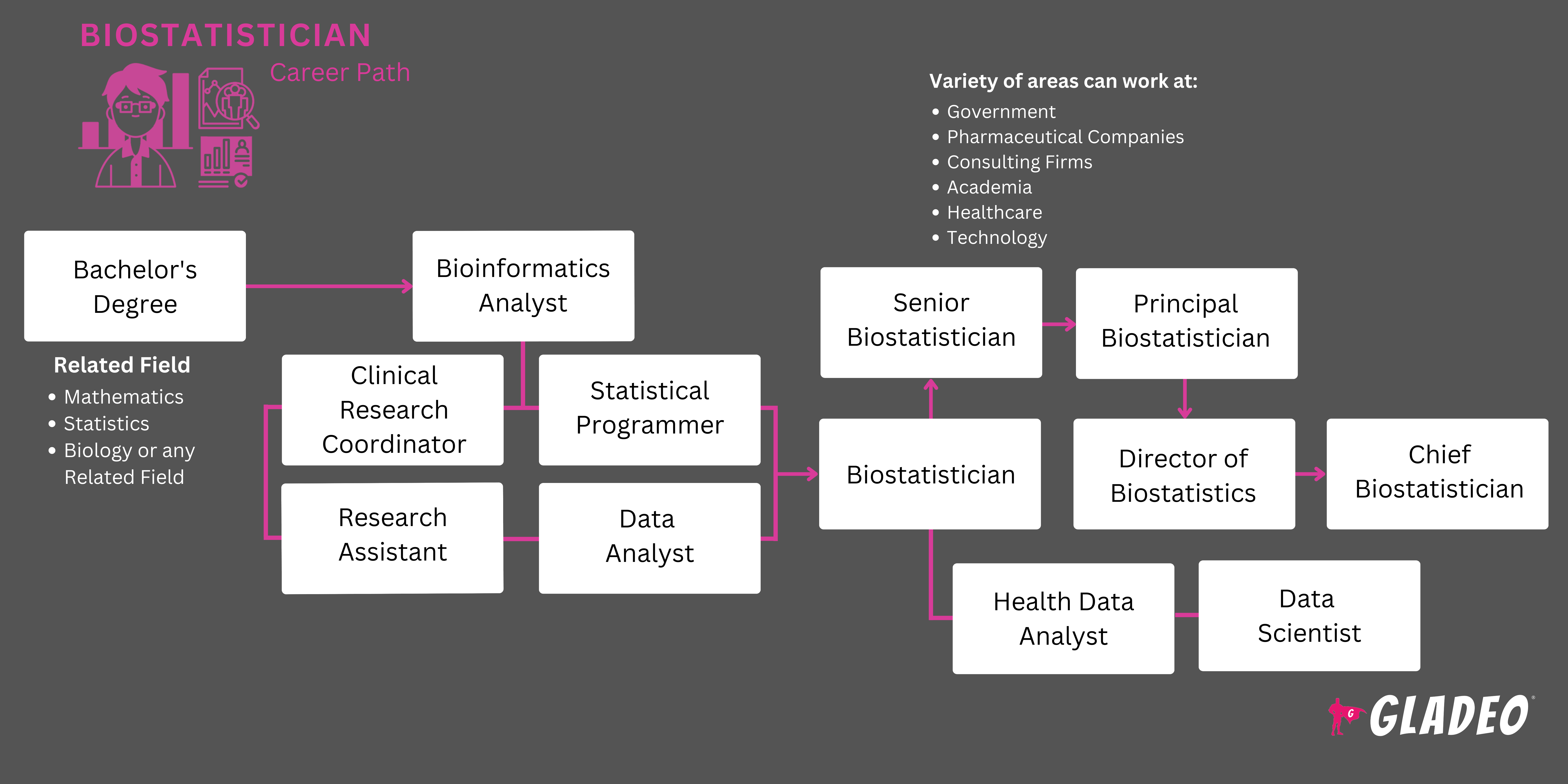 Biostatistician Roadmap