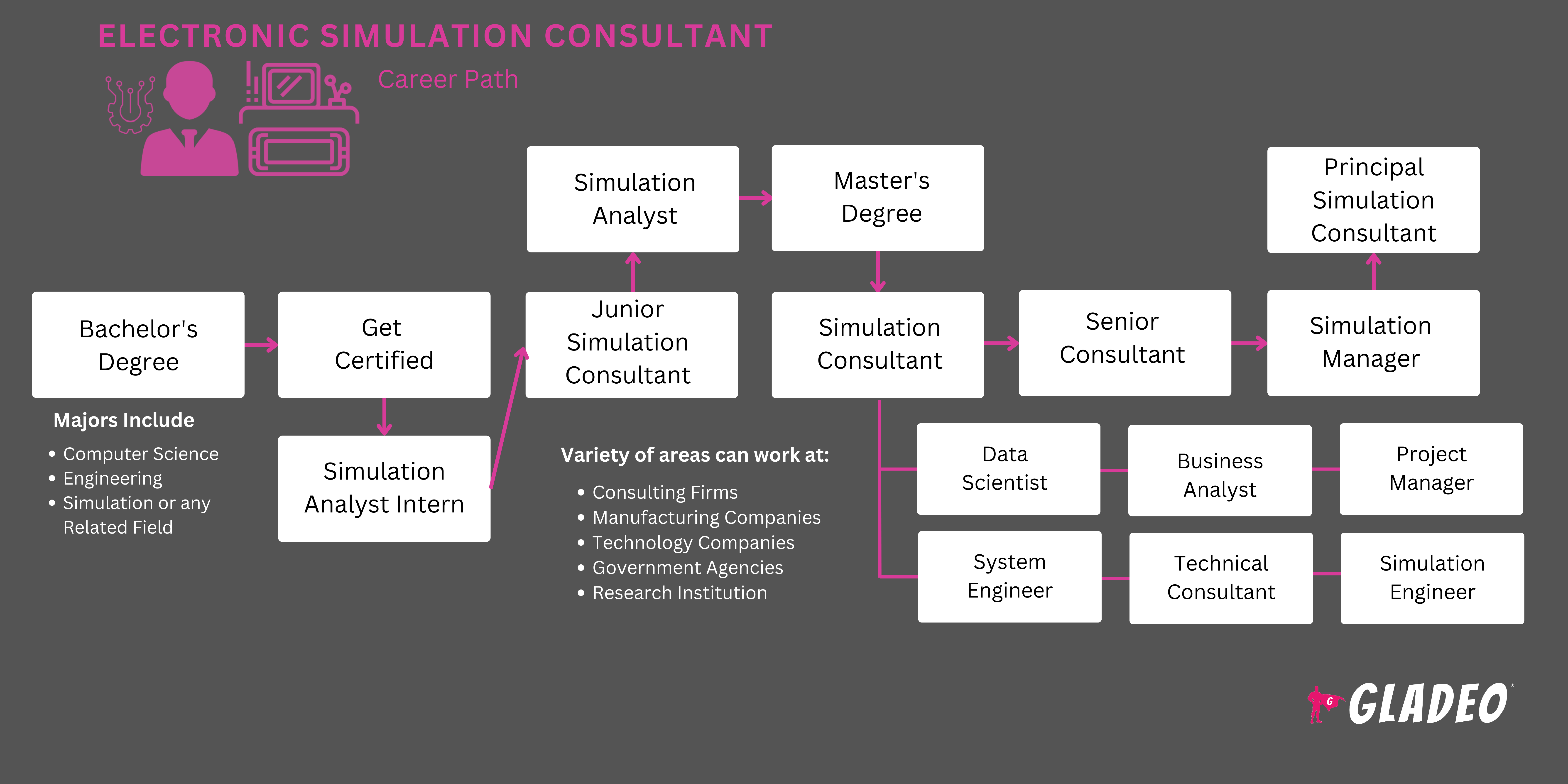 Electronic Simulation Consultant Roadmap