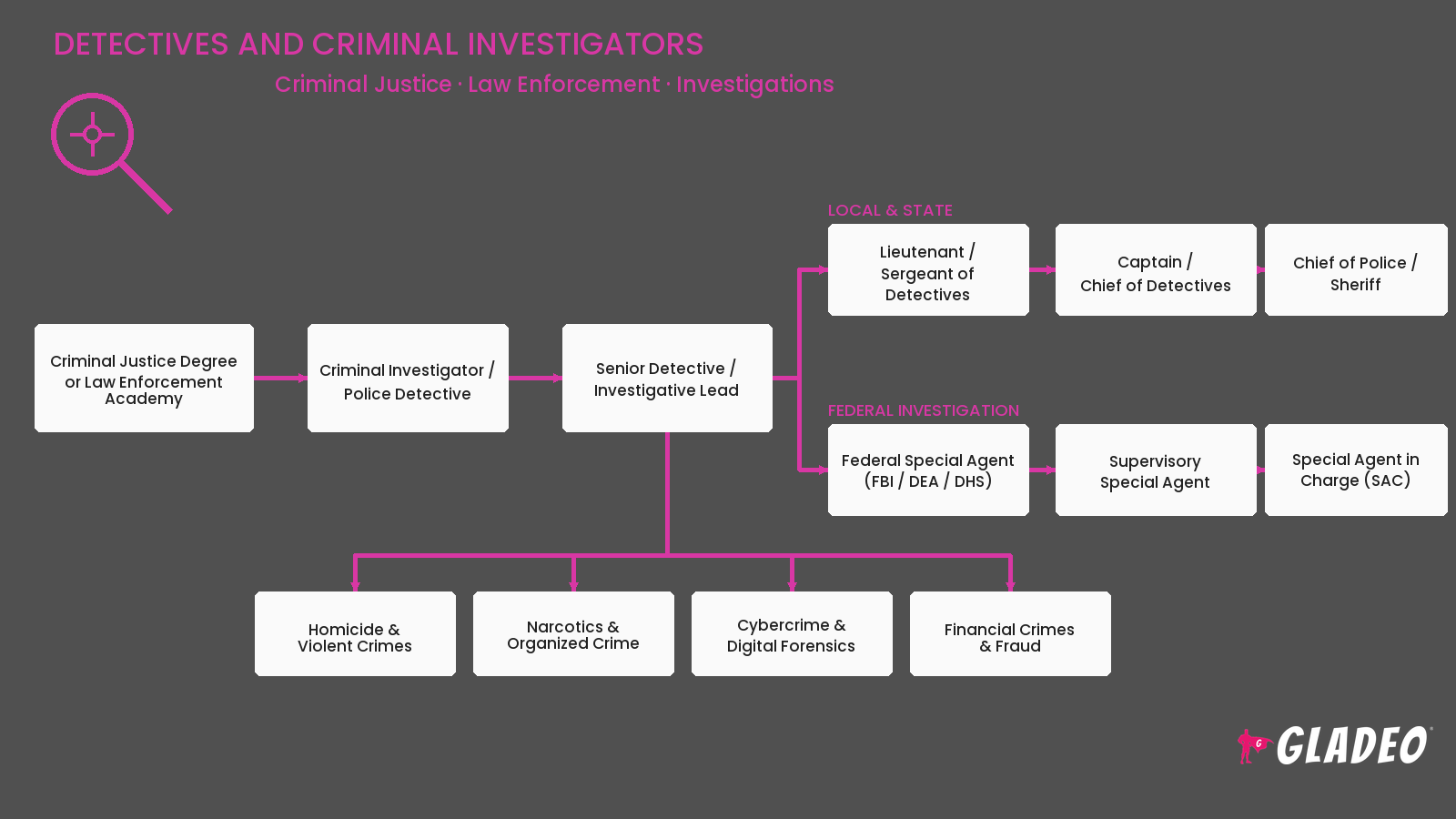 Detectives and Criminal Investigators
