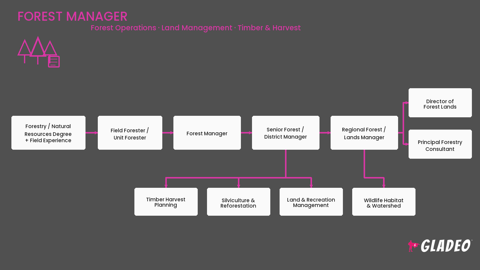 Forest Manager
