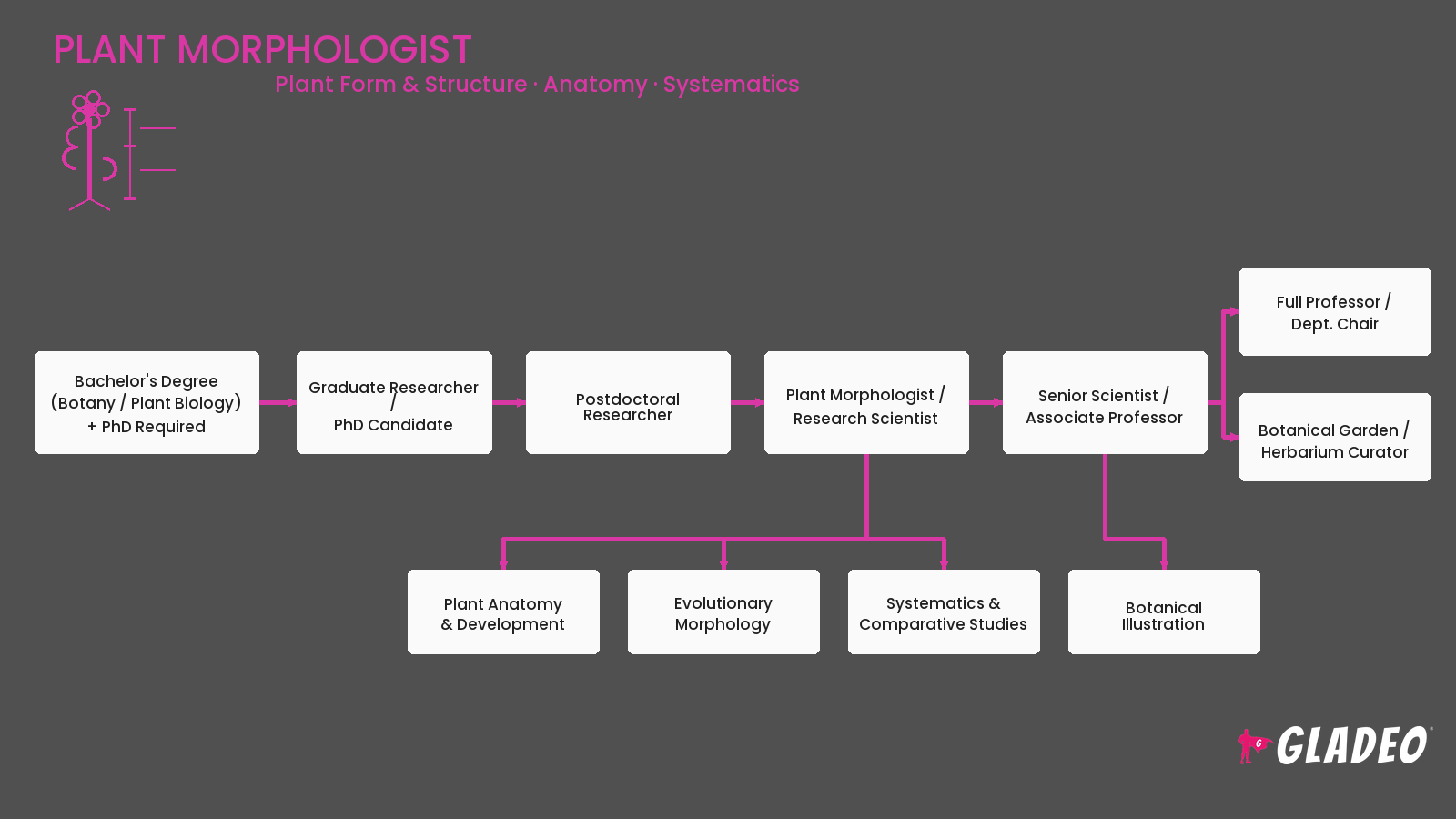 Plant Morphologist